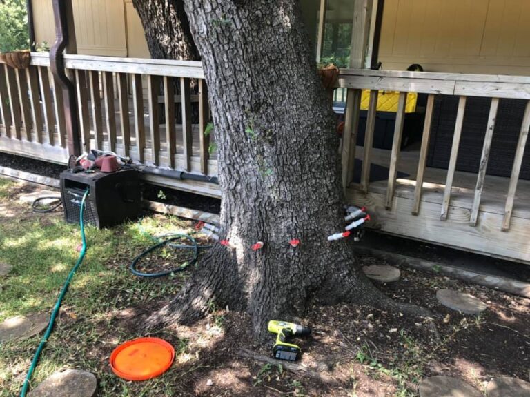 arborists Austin