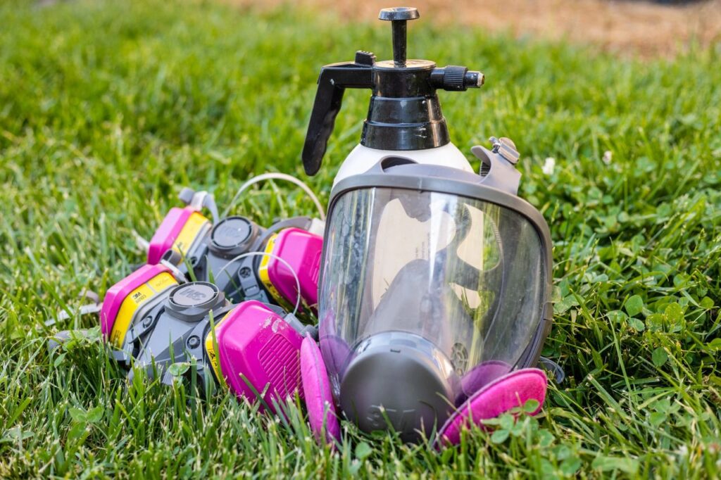 mold removal Charlotte NC