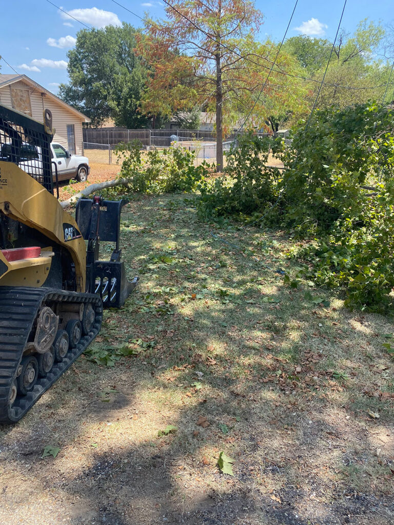 tree service Waco TX