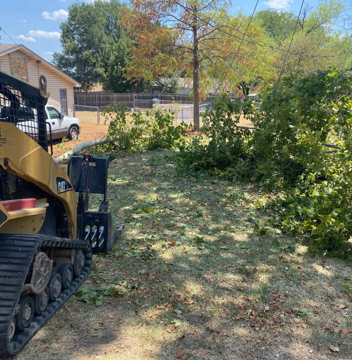 tree service Waco TX