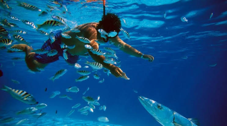 cozumel dive sites